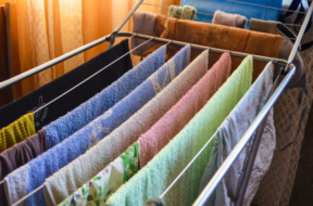 clothes