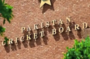 cricket