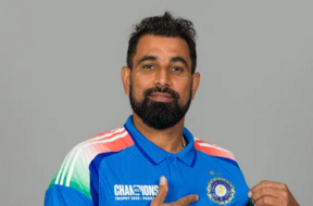 cricket