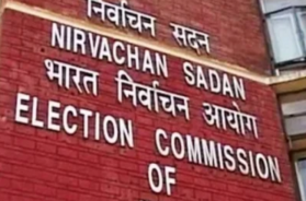 election
