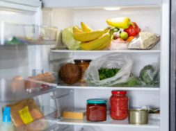 fridge