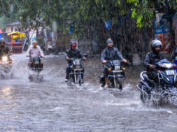 gujarat