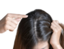 hair