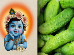 krishna