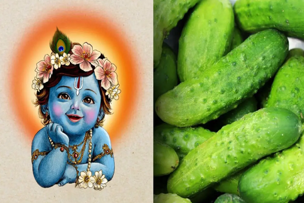 જન્માષ્ટમીની મધ્યરાત્રિએ શા માટે કાપવામાં આવે છે ડાળખીવાળી કાકડી, જાણો તેનું ધાર્મિક મહત્વ