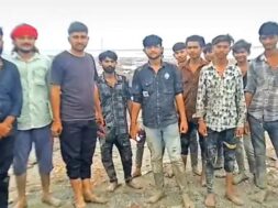 kutch small desert, 13 rescued