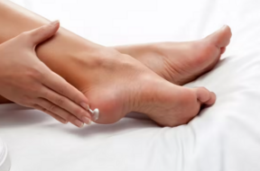 leg
