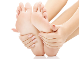leg