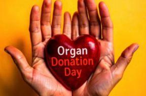 organ day