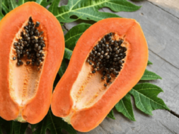 papaya
