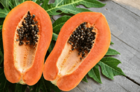 papaya