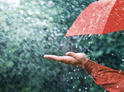rain house