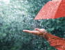 rain house