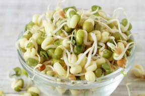 sprout