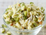 sprout