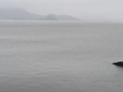 DHAROI DAM MAHESANA