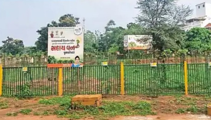 ગાંધીનગર શહેરને હરિયાળું બનાવવા માટે મ્યુનિ. દ્વારા 1.35 લાખ વૃક્ષો વવાયા