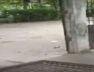 Surat, gate collepsed