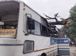 Tree falls on ST Bus
