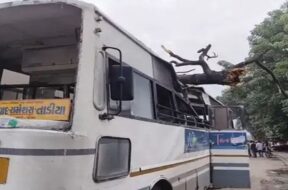 Tree falls on ST Bus