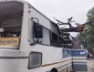 Tree falls on ST Bus