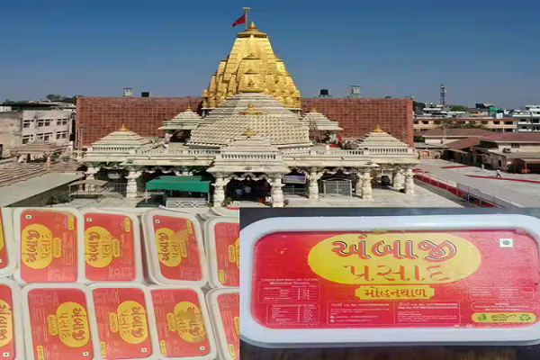 અંબાજી મેળામાં મોહનથાળ પ્રસાદનું અવિરત વિતરણ, 700 થી પણ વધુ આદિવાસી ભાઈ-બહેનો બનાવી રહ્યાં છે પ્રસાદ