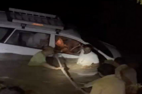 car pulled imto shetrunji rever