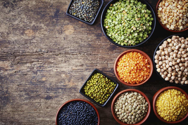 વજન ઘટાડવા તમારા આહારમાં આ પ્રોટીનયુક્ત કઠોળનો સમાવેશ કરો