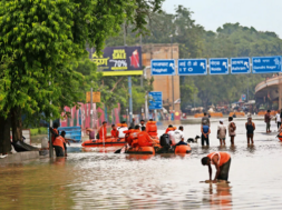 delhi