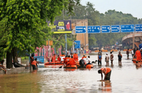 delhi