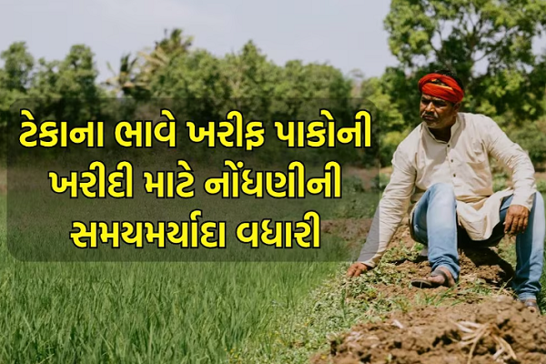 ગુજરાતઃ ટેકાના ભાવે ખરીફ પાકોની ખરીદી માટેની નોંધણીની સમયમર્યાદા લંબાવાઈ