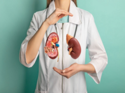 kidney