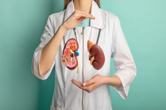 kidney