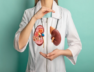 kidney