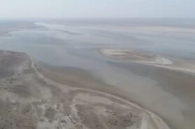 kutch small rann