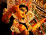 navaratri