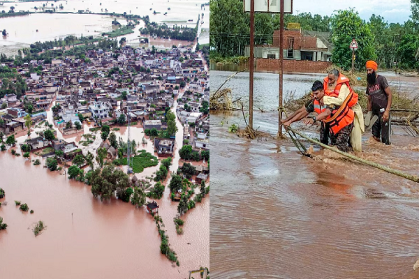 પંજાબમાં પૂરમાં 43 લોકોના મોત, 1.71 લાખ હેક્ટર જમીન પર ઉગાડવામાં આવેલ પાક નાશ પામ્યો