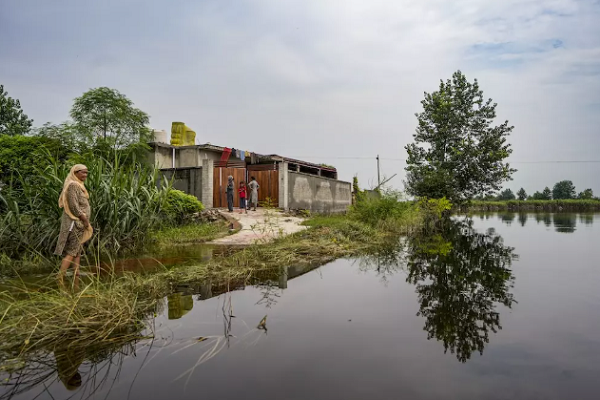 પંજાબમાં પૂરથી મૃત્યુઆંક વધીને 57 થયો, પાકને પણ અસર