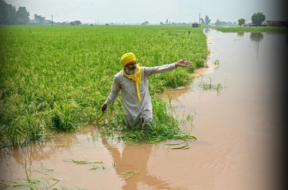 punjab