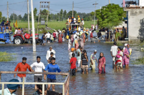 punjab