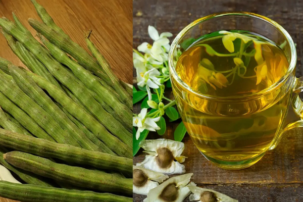 વાળ ઝડપથી વધારવા માટે સરગવાનું તેલ લગાવો, આ રીતે ઉપયોગ કરો