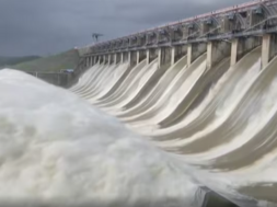 ukai dam