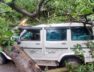A tree fell on the bolero car