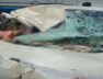 Accident, bhachau highway