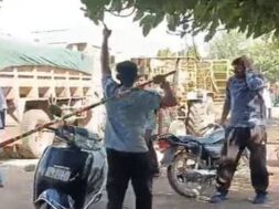 Attackom the muni. team catch cattle