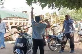 Attackom the muni. team catch cattle