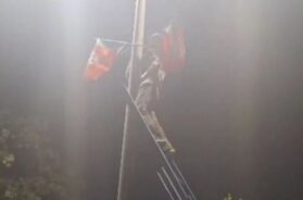 BJP Flag, Baroda