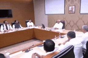 Bhupendra patel, cabinet