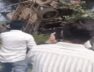Car Accident, Vaghodia