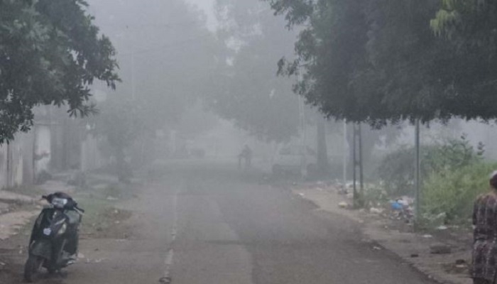 સૌરાષ્ટ્રમાં વહેલી સવારે ગાઢ ધૂમ્મસ છવાયું, મધરાત બાદ ઠંડીનો ચમકારો